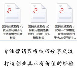 从策略到执行 一体化广告营销策划方案与实战案例分析